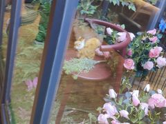 -拈菜(观音桥阳光世纪店)
