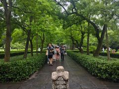 -紫霞湖公园