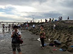 -南汇嘴观海公园