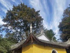 -溪口-滕头旅游景区