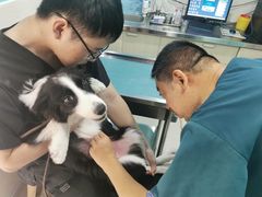 -哆趣宠物医院·眼科·内镜·急重症转诊中心(上海店)