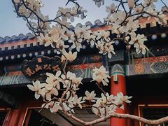 -颐和园