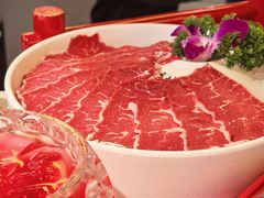 -小龙坎火锅(全球旗舰店)