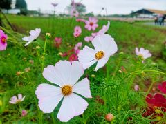 -宁波杭州湾国家湿地公园