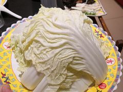 白菜-芦月轩羊蝎子(北蜂窝店)