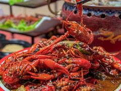 -京炭铜锅涮肉·羊蝎子·羊肉炉(保利·时光里店)