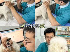 -pd派德宠物中心医院24H急重症·眼科中心·血液透析中心(嵩山北路店)