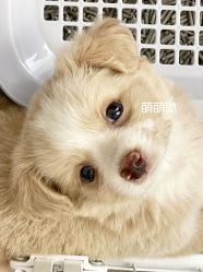 -Oasis Beauty水磨坊科技美肤中心