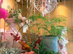 -蝶舍·MAISON PAPILLON