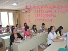 -优缇多格专业宠物美容师培训学校