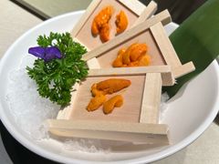 -水木锦堂·自助铁板烧(望京凯德MALL店)