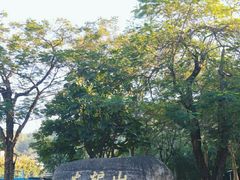 -火炉山森林公园
