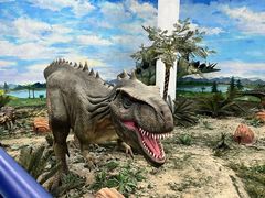 -吉林省自然博物馆