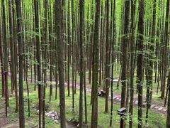 -山王坪喀斯特国家生态公园