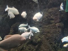 -南昌海洋公园