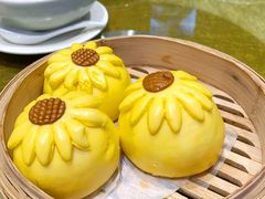 -有心德(麦地店)