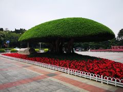 -南宁南湖公园