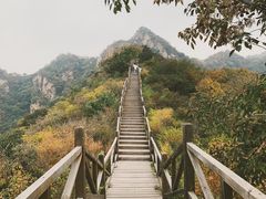 -大岭沟猕猴桃谷风景区