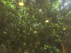 -龙井壹号·茶缘山景宴(龙井村店)