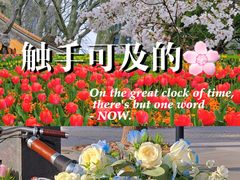 -静安雕塑公园