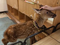 -猫爪屋猫咖(乐汇城店)