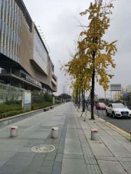 -成都艾特他整形外科医院