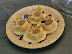 -喵屿·大理花园猫咖