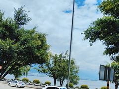 -野菌皇海景野生菌火锅(滨海大道店)