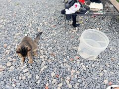 -DGE季风钓虾营地·团建·聚会