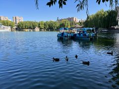 -团结湖公园