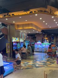 -卡通尼·Safari非洲探索乐园·生日会(金桥国际商业广场店)