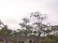 -万绿园
