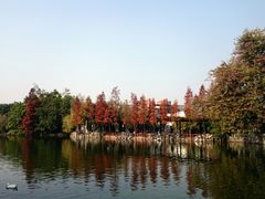 android_upload_pic-东莞市可园博物馆