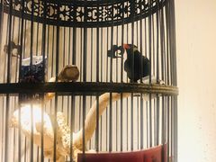 -清真·京华源铜锅涮肉(丰庆店)