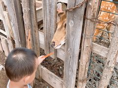 -呀路古热带植物园