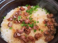 鸽肾煲仔饭-鸽鸟轩(石岐店)