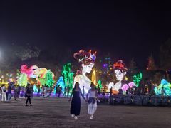-洋湖国家湿地公园