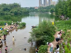 -重庆彩云湖湿地公园