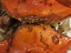 -邑金陵北京烤鸭店·现炒家常菜(ITC MALL店)