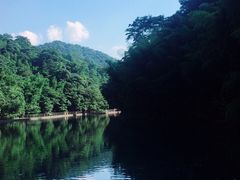 -祁门牯牛降观音堂风景区