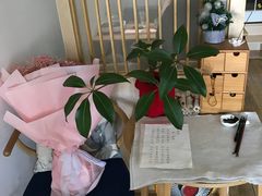 -茶庐(百花洲路店)