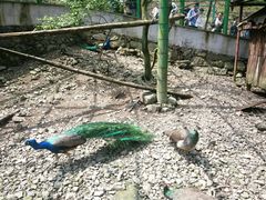 -藏龙百瀑风景区