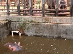 -沈阳森林动物园