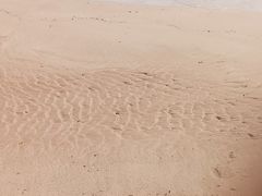 -秋水广场音乐喷泉