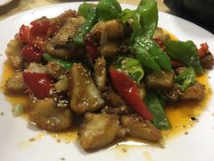 -煲来饱去冷水鱼