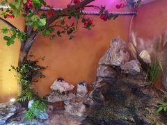 -巢爷老味(东方红店)