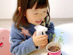 -黄浦乐烁龙鱼宝贝托育园(海潮路校区)