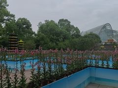 -南山植物园