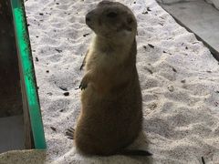 -海合安武汉极地海洋公园