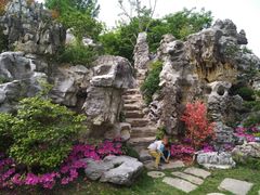 -上海鲜花港